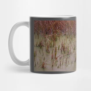 Rainbow cane 4 Mug